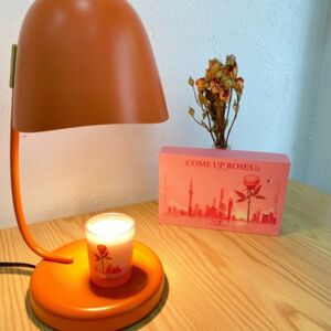 Claire - Modern Candle Warmer photo review