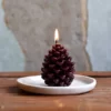 Asparagus Fern Scented Soy Wax Candle