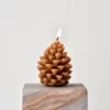 Asparagus Fern Scented Soy Wax Candle