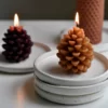 Asparagus Fern Scented Soy Wax Candle