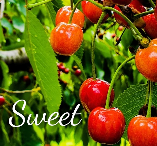 SweetCherries