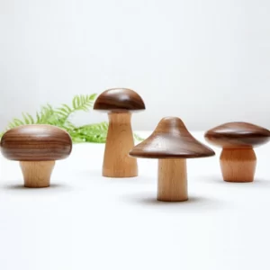 Mushroom Wood Wall Hooks6