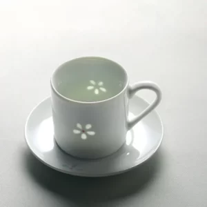Porcelain Coffee Cup Set With Saucer8